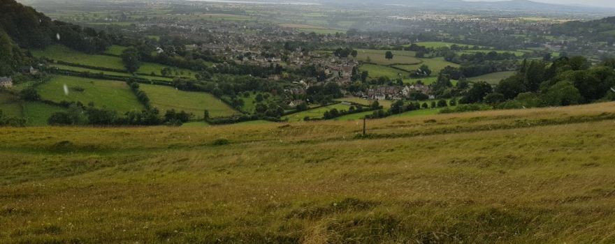 Selsley Common