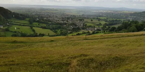 Selsley Common