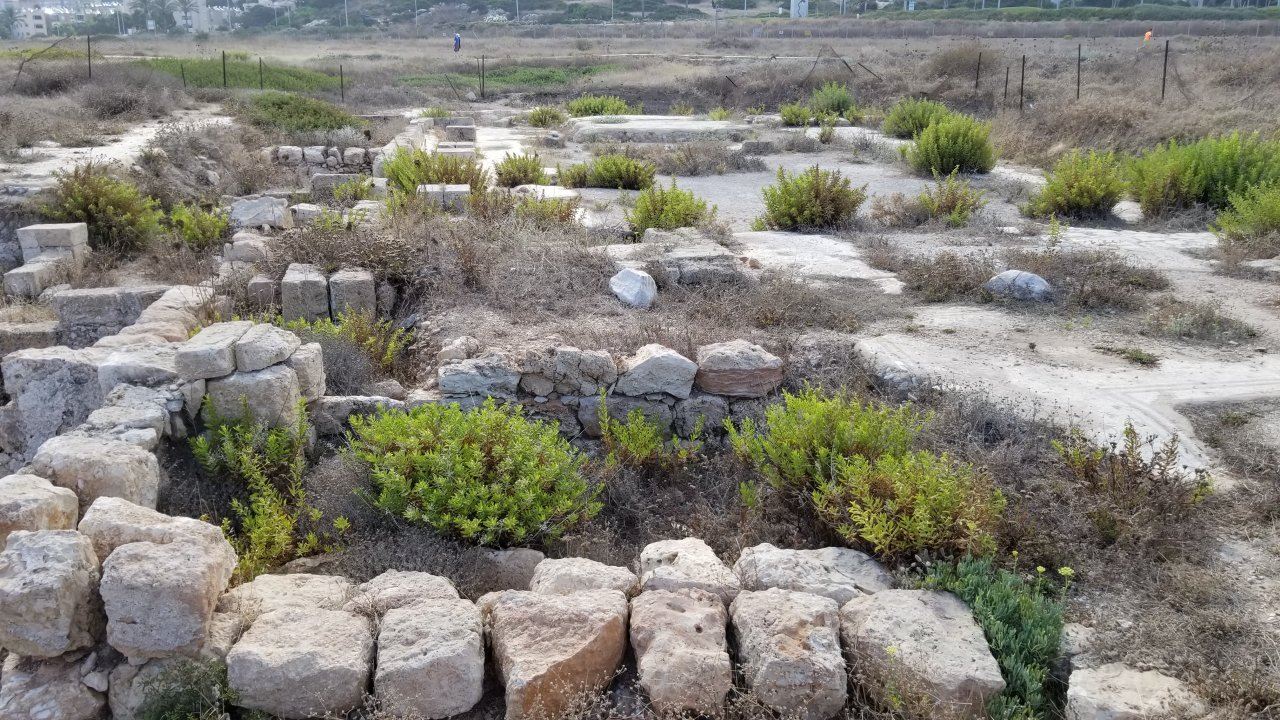 Tel Shikmona