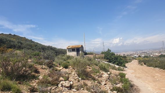Cartagena