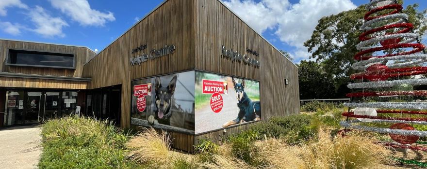 Australian Kelpie Centre