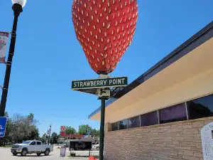 World's Largest Strawberry