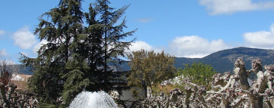 Municipal Park