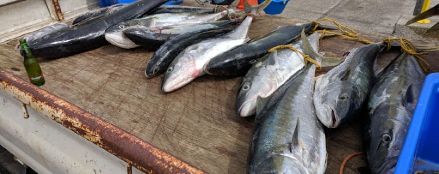 Epic Adventures Fishing Charters