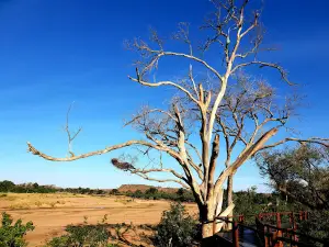 Mapungubwe National Park