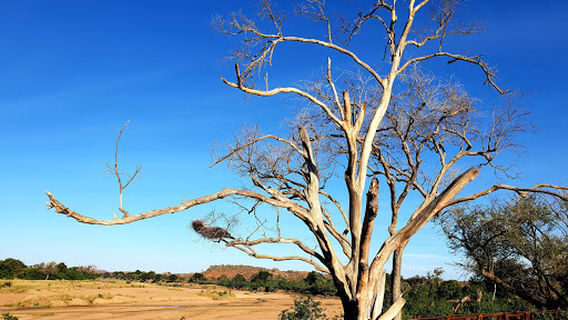 Mapungubwe National Park