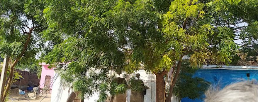 Shiv Shankar mandir
