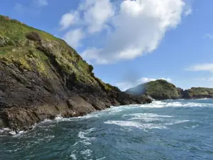 Natural Heritage Site Islotes de Puñihuil