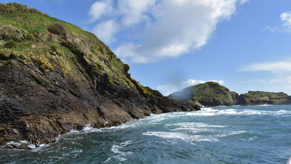 Natural Heritage Site Islotes de Puñihuil