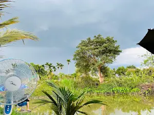 HỒ CÂU CÁ GIẢI TRÍ BUÔN TRẤP