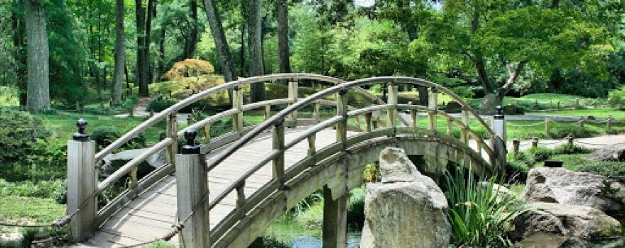 SoSo Park