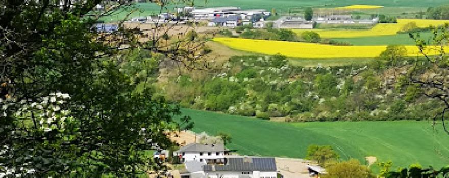 Nettehof Ausblick- + Rastplatz am Nette-Schieferpfad
