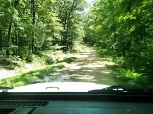 Elk Neck State Forest