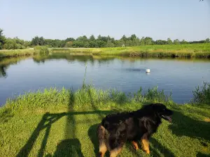 Papa's Paradise Campground