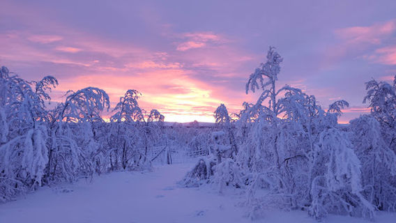 Muotkatunturi Wilderness Area