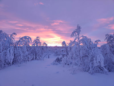 Muotkatunturi Wilderness Area