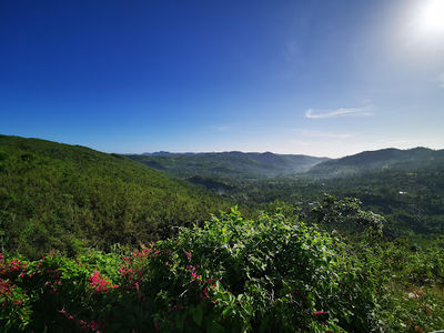 Guadalupe Central Highway