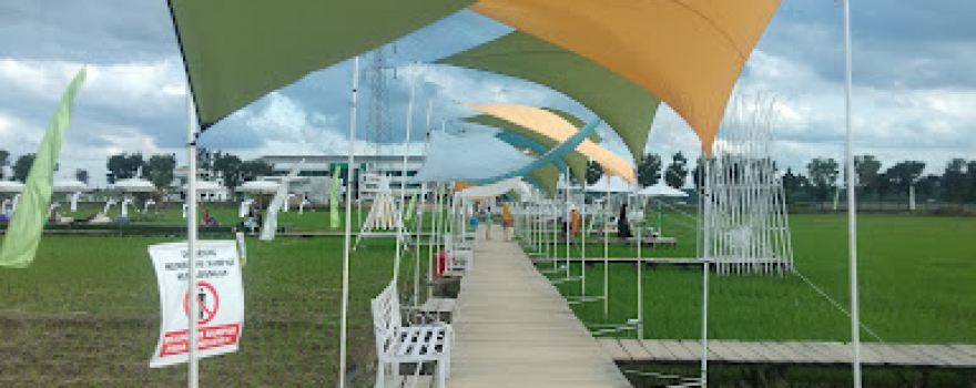 Wisata Sawah Labura