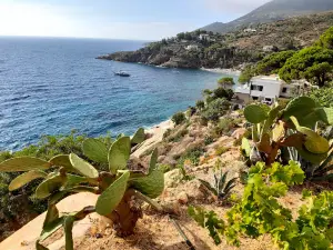 Cala delle cannelle