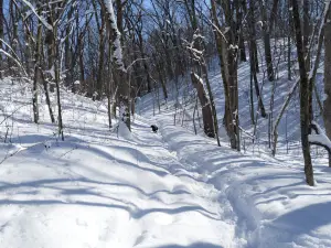 Emma Carlin Trail Head