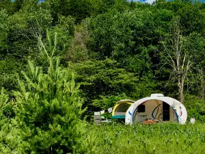 Camping Havre Des Iles Inc