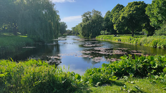 Alkmaar