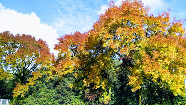 Philips van Lennep Park