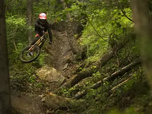 Windrock Bike Park