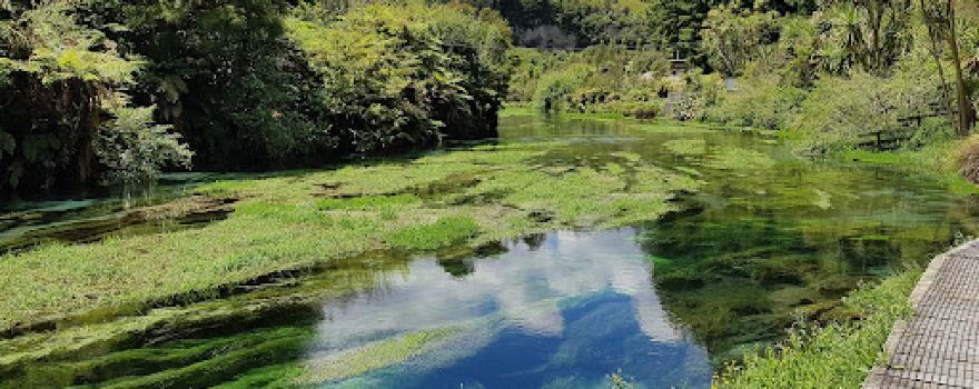Te Waihou Rapids