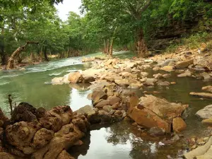 Ratapani Wildlife Sanctuary entry Gate