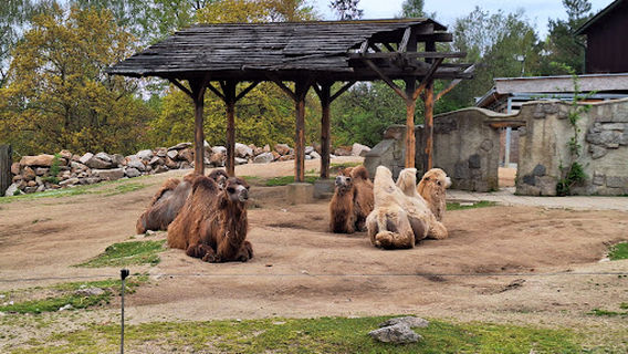 Lidové sady Petra Bezruče