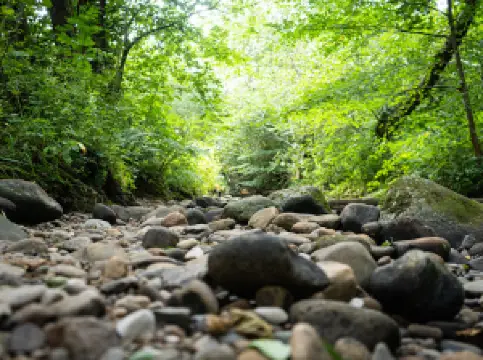 Brock Valley Picnic Site