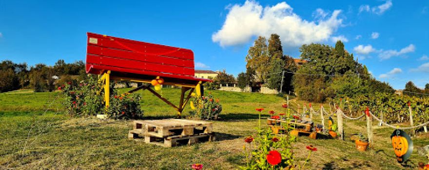 Big Bench #90 Aramengo