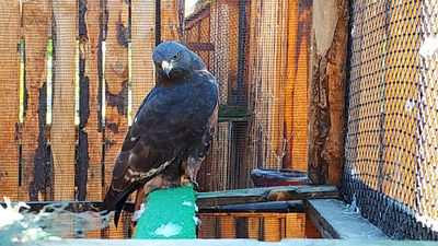George Wildlife Park