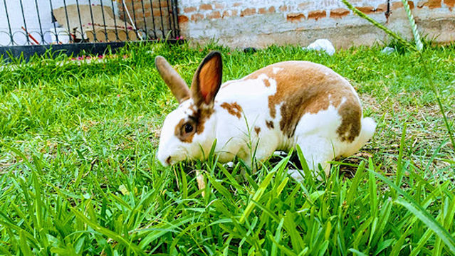 San Fernando de Castilla Park