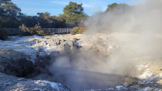 Waiotapu Thermal Track