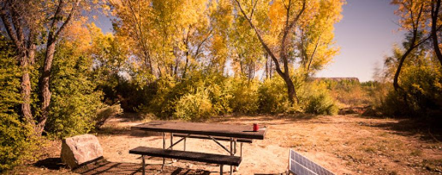 Sand Island Campground - Group Sites