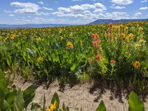 Growiser Grande Ronde Overlook
