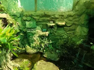 The Pixie and Fairy Village