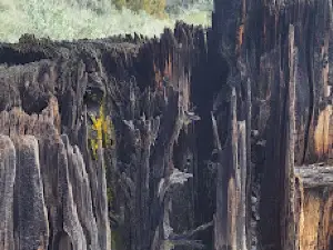 Chukar Park Recreation Site