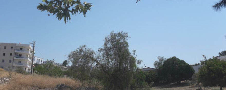 Mehmet Ali Haliloğlu Parkı