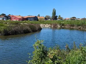 Le Port des Salines