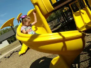 Yellow Park