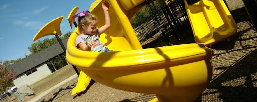 Yellow Park