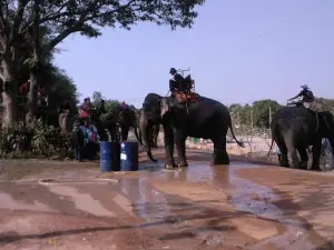 Khao Suan Kwang