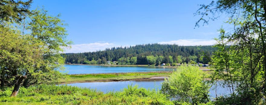 Nick's Lagoon