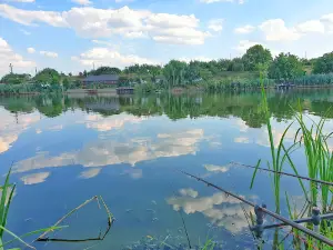 Balta Bălăria