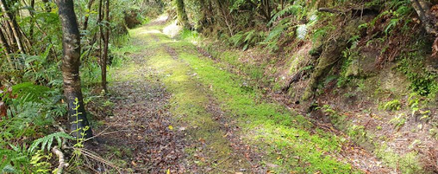 Arorangi Nature Walk