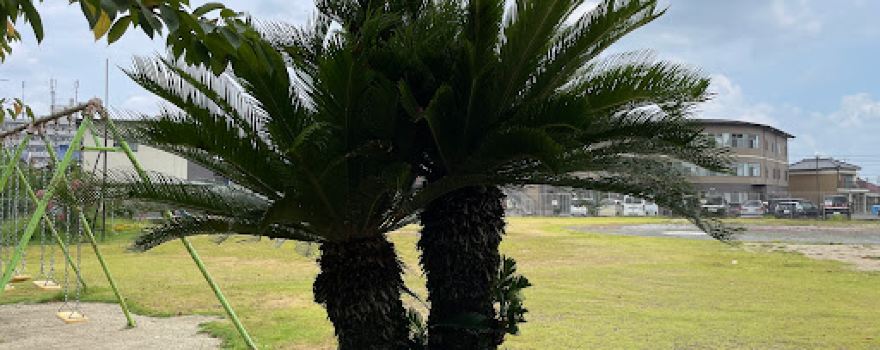 Heta Park