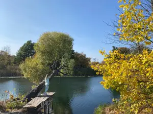 Zagorodnyy Klub Yelki